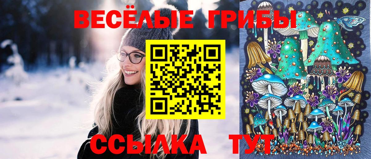 Галлюциногенные грибы GOLDEN TEACHER Улан-Удэ